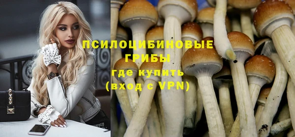 a pvp Вязники