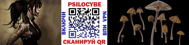 Псилоцибиновые грибы GOLDEN TEACHER ОМГ ОМГ ТОР Ноябрьск
